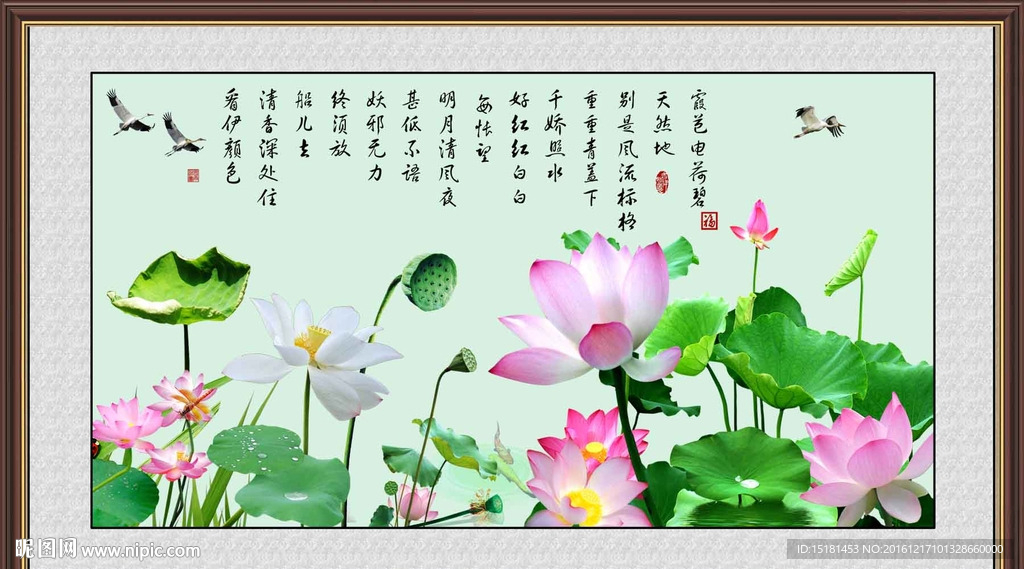 荷花图