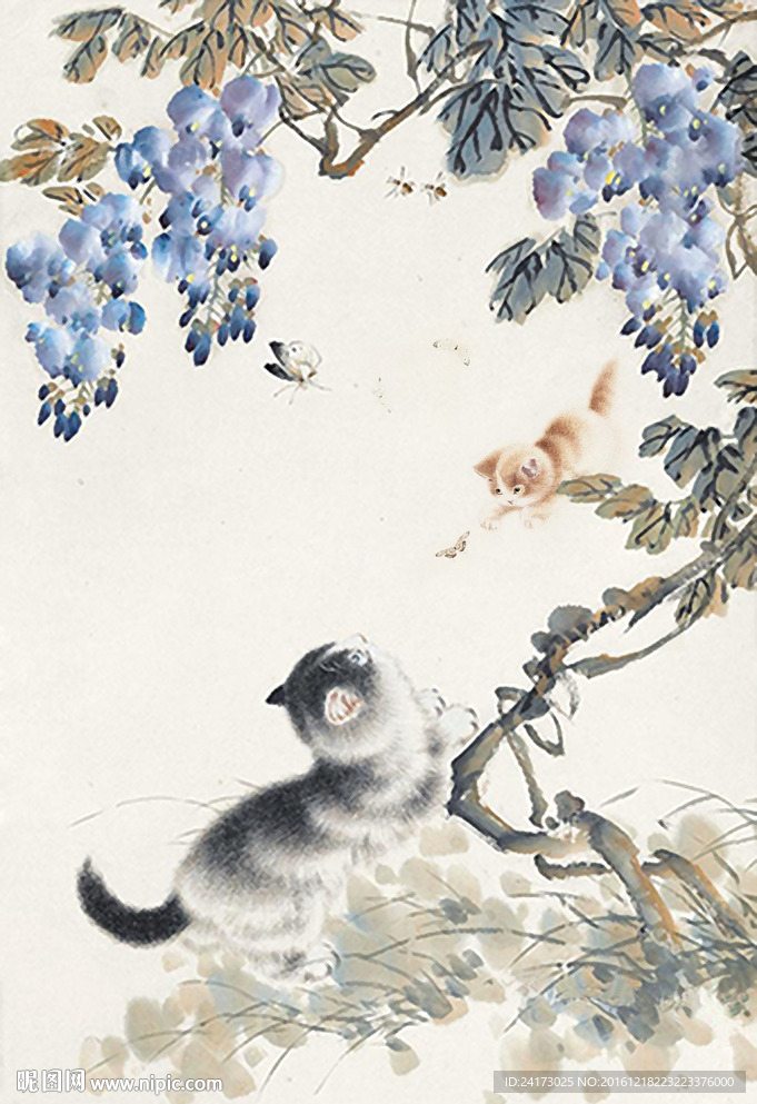 蝴蝶与猫图片