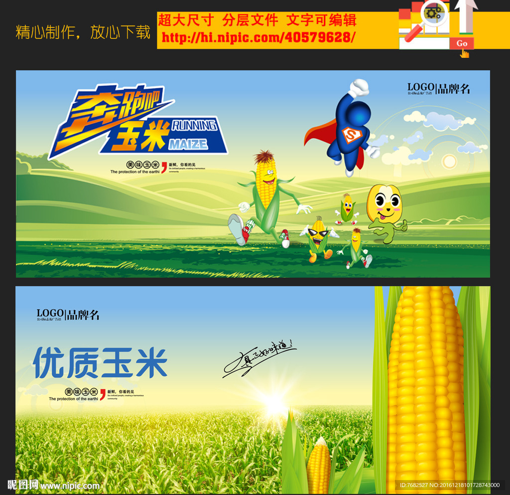 玉米