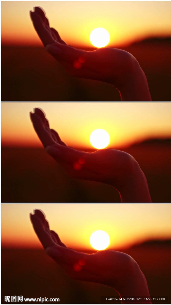手握夕阳