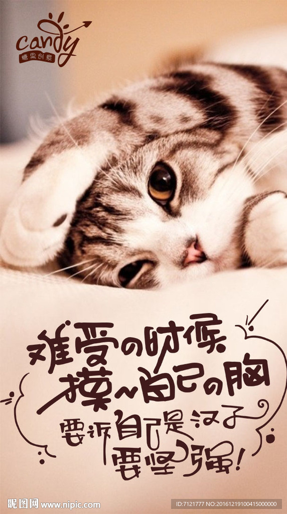 猫海报