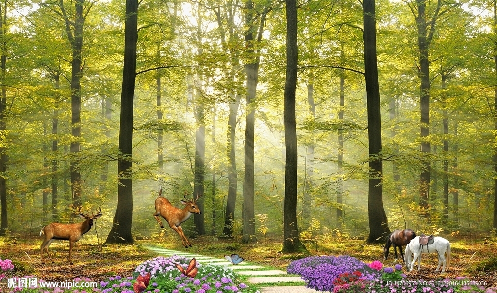 阳光森林小鹿背景