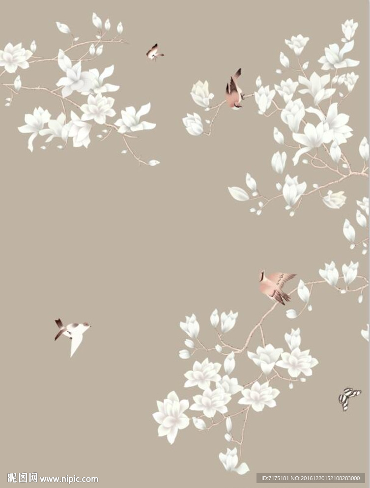 手绘玉兰花鸟