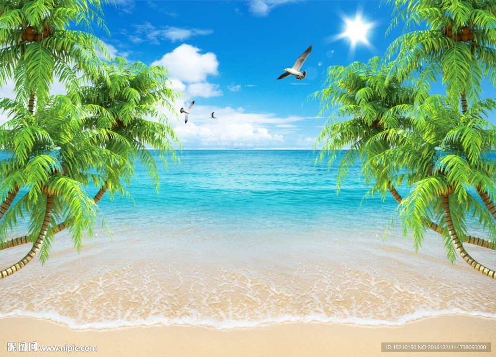 蓝天白云椰子树