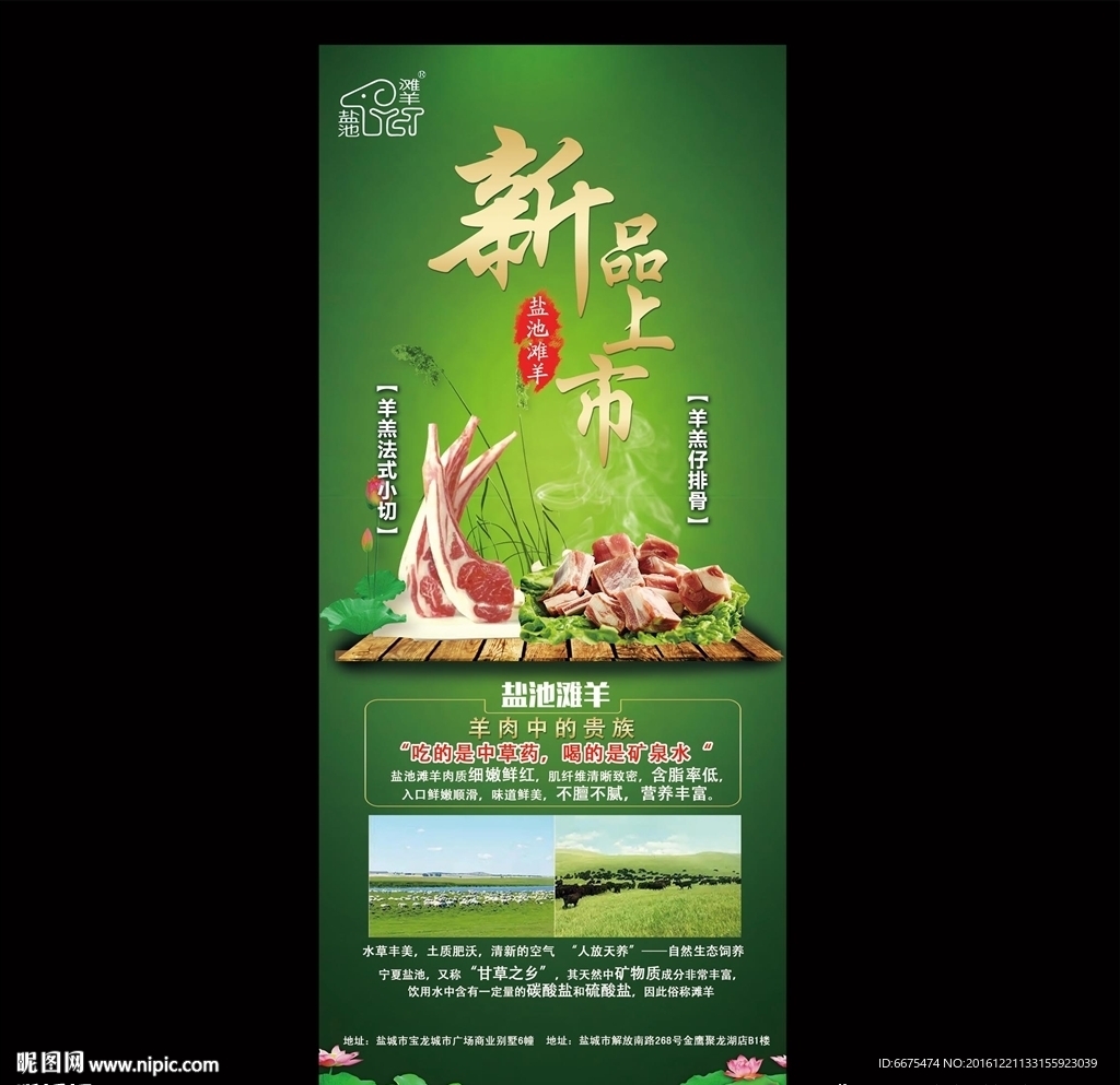 新品上市 盐池滩羊