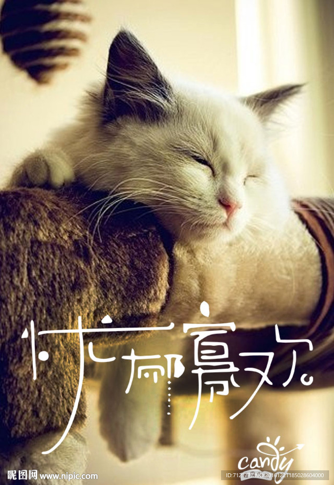 忧郁寡欢