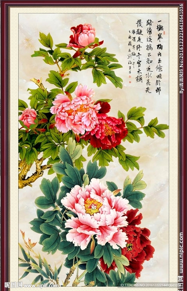 牡丹花