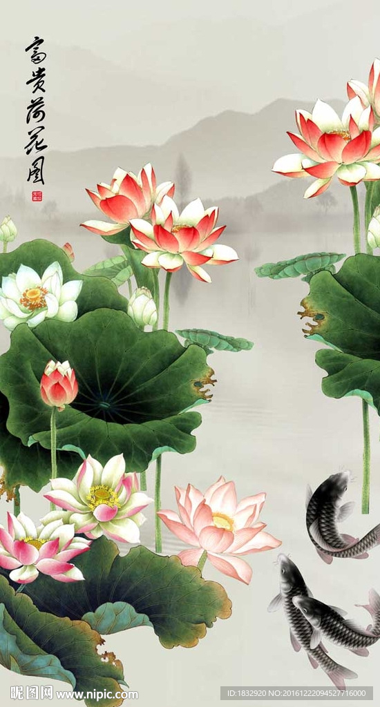荷花图