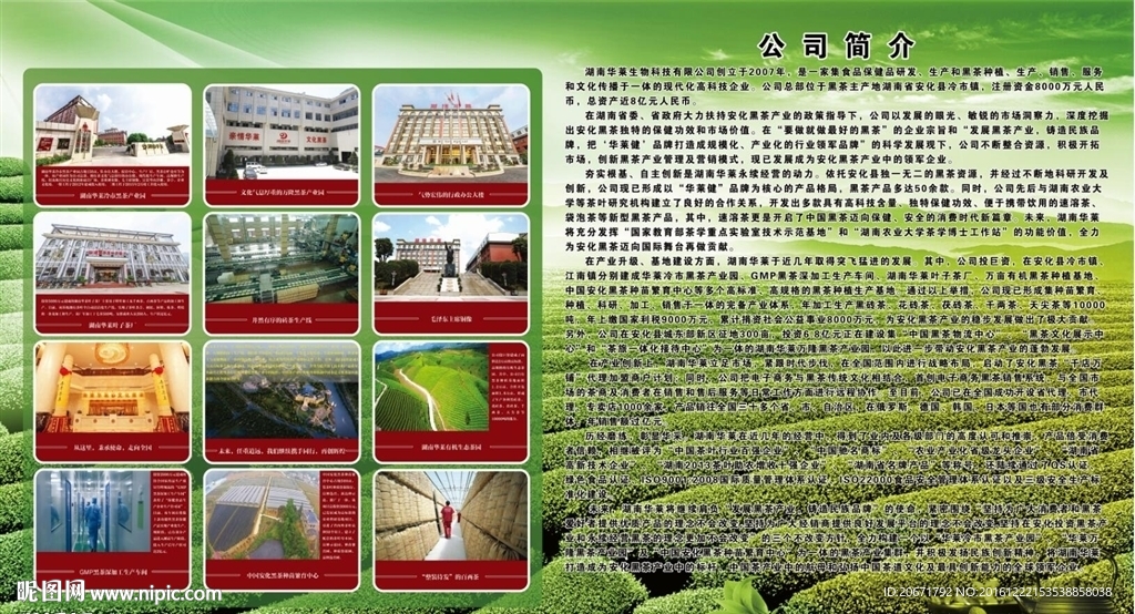 华莱公司简介