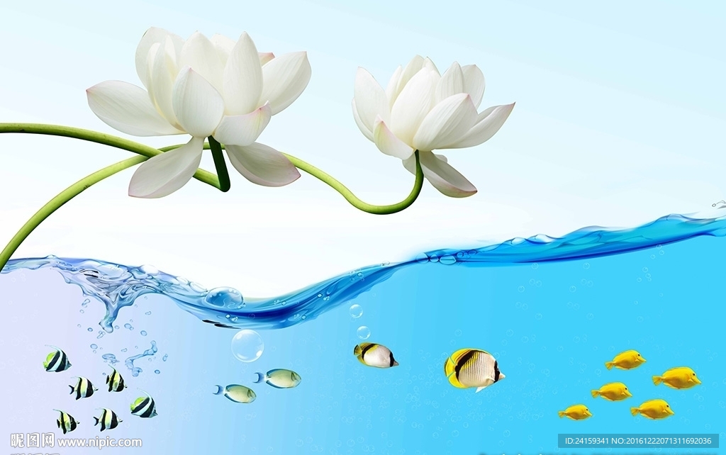 3d荷花海底世界