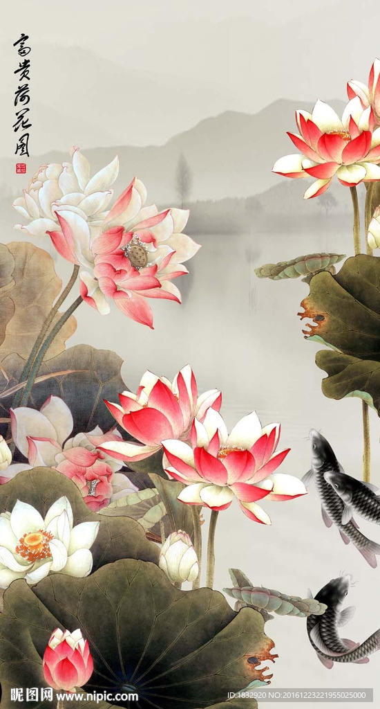 荷花