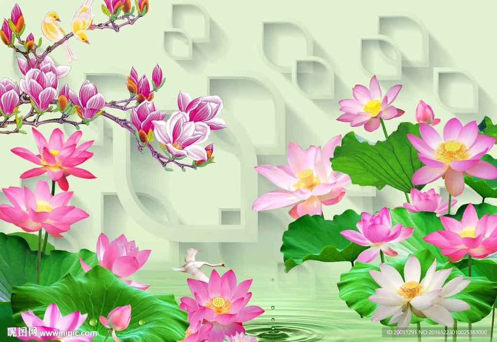 荷花背景墙