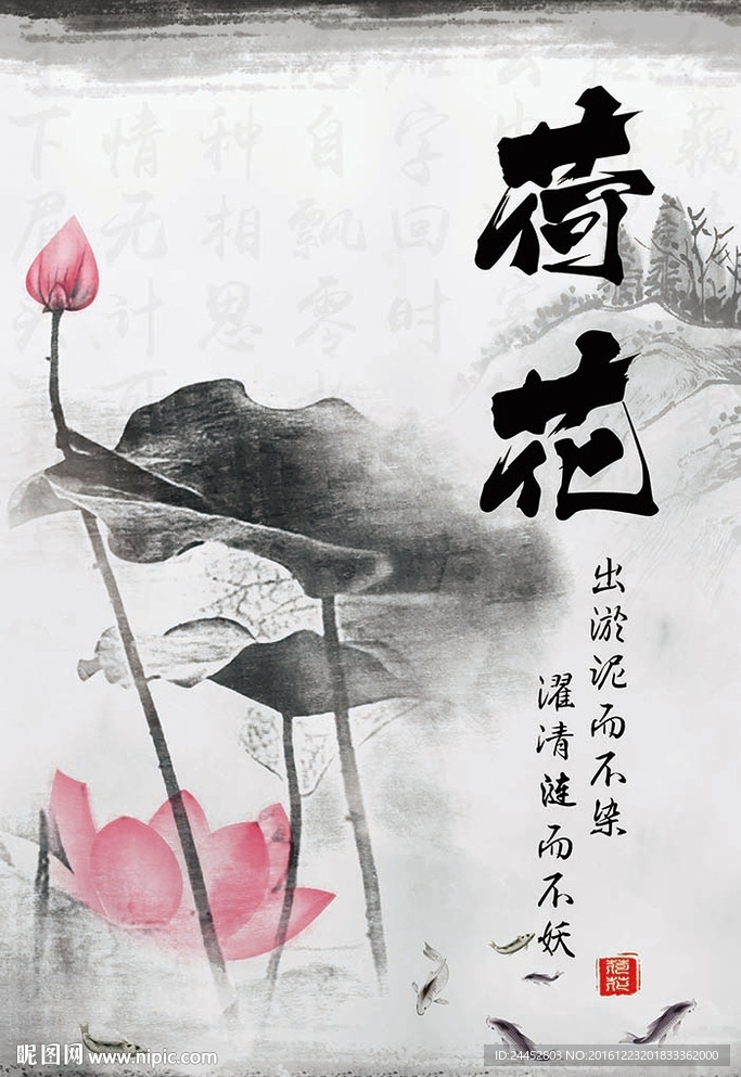 荷花