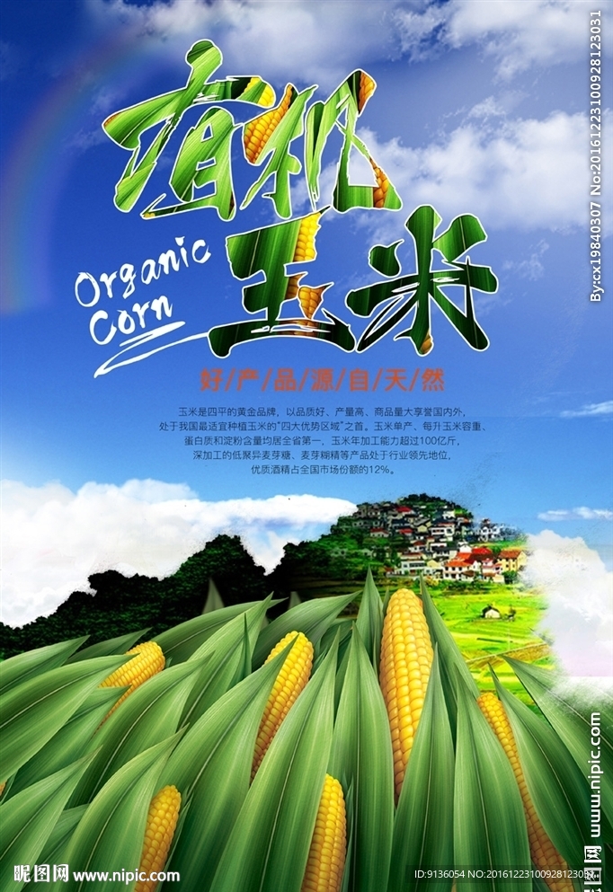 玉米海报