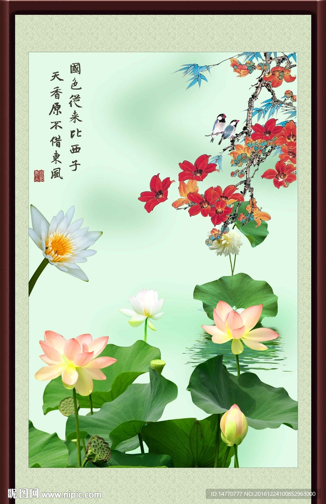 花鸟荷花