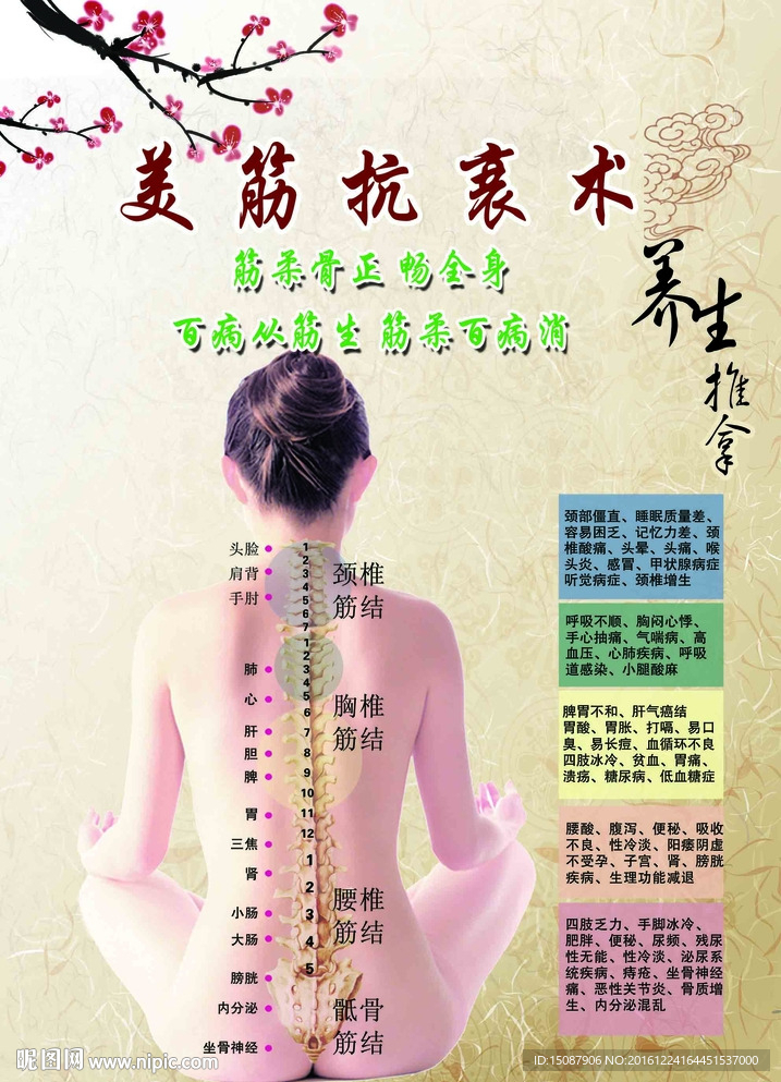美筋抗衰术