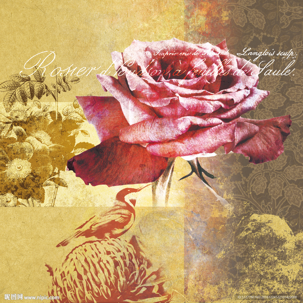 欧美花鸟油画画芯