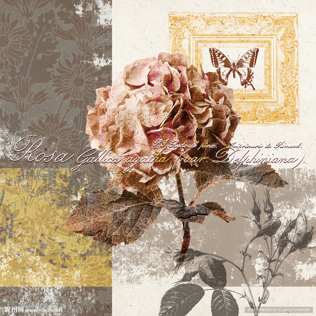 欧美花鸟油画画芯