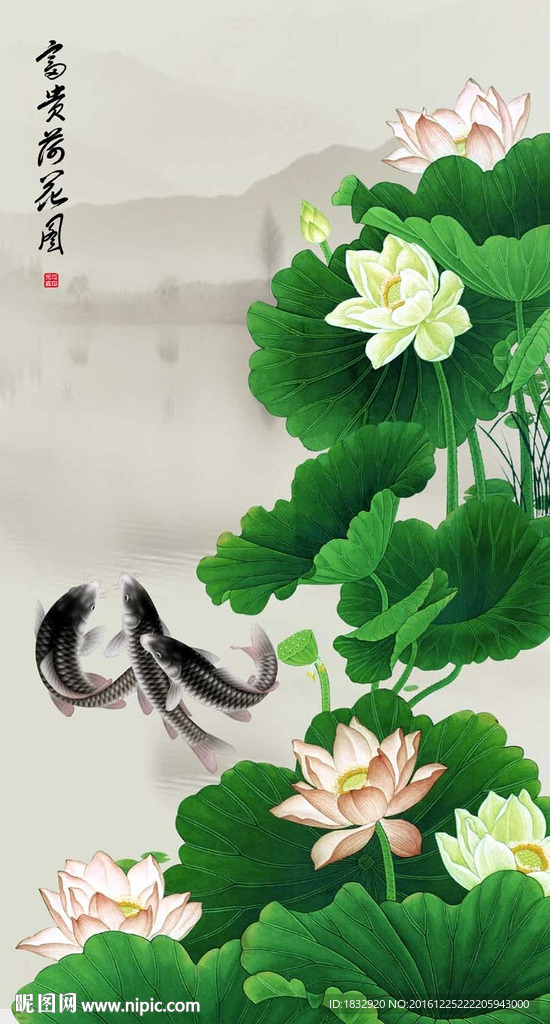 荷花图