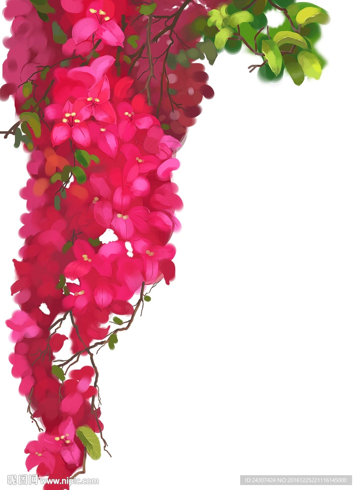 手绘花草