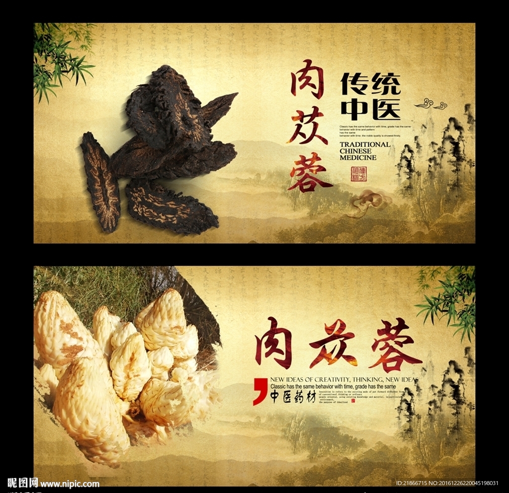 肉苁蓉