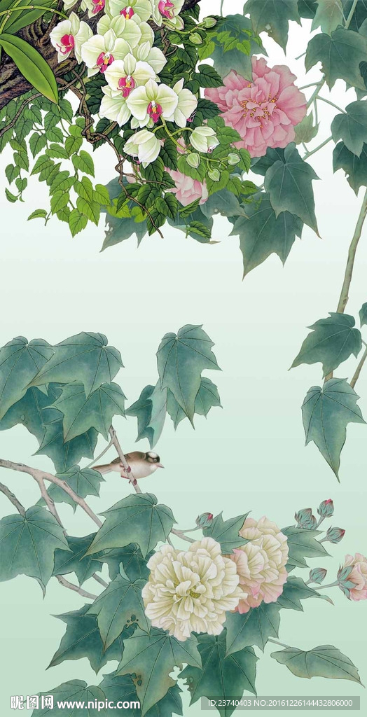 国画花鸟