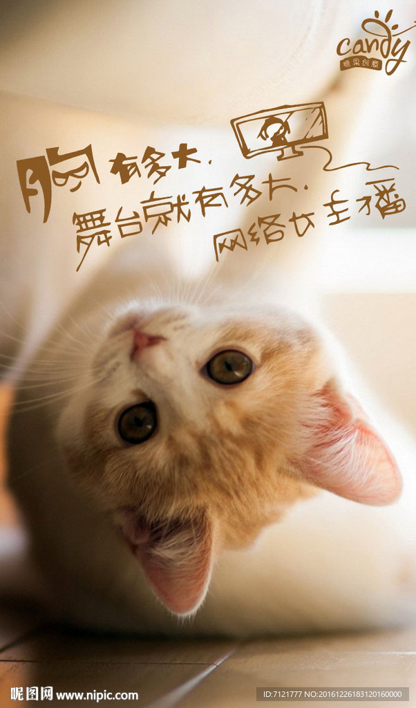 猫