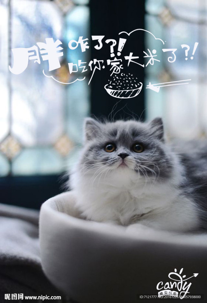 胖子