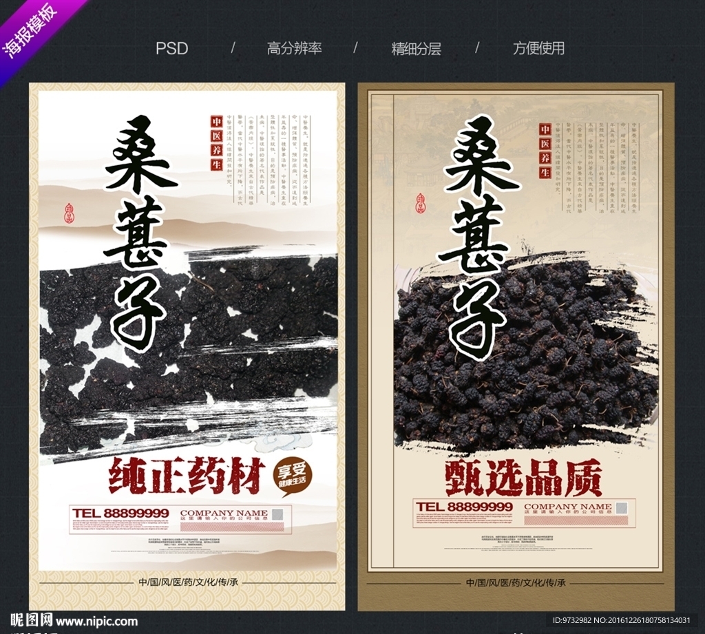 桑葚子