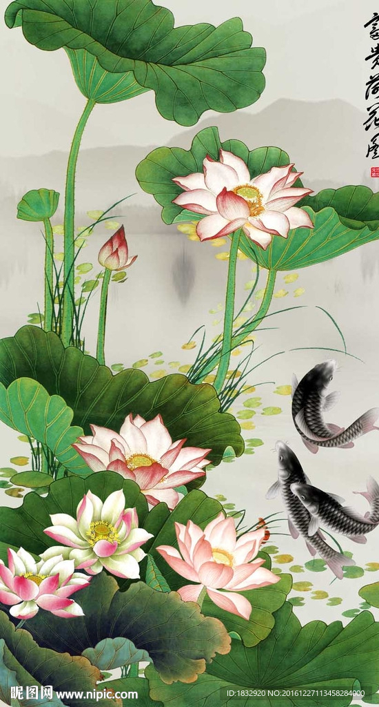 荷花图