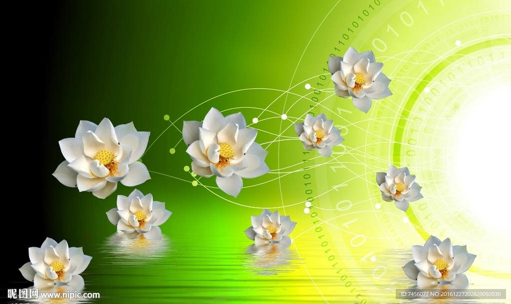 白莲花浪漫小清新背景墙