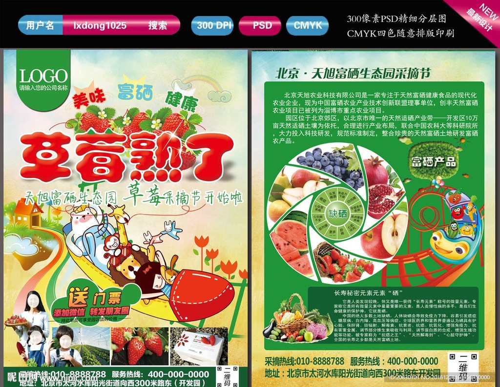 草莓采摘海报