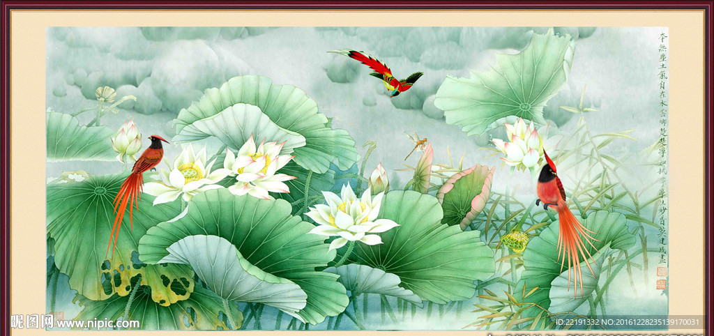 荷花
