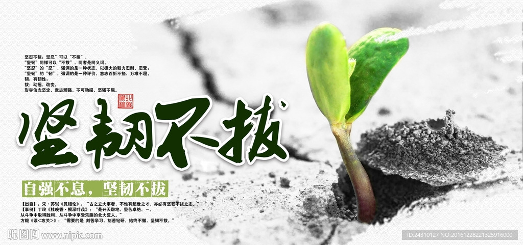 坚韧不拔