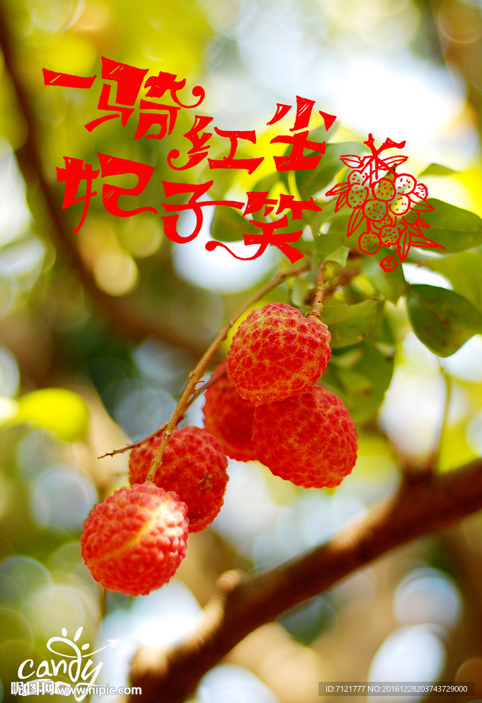 荔枝