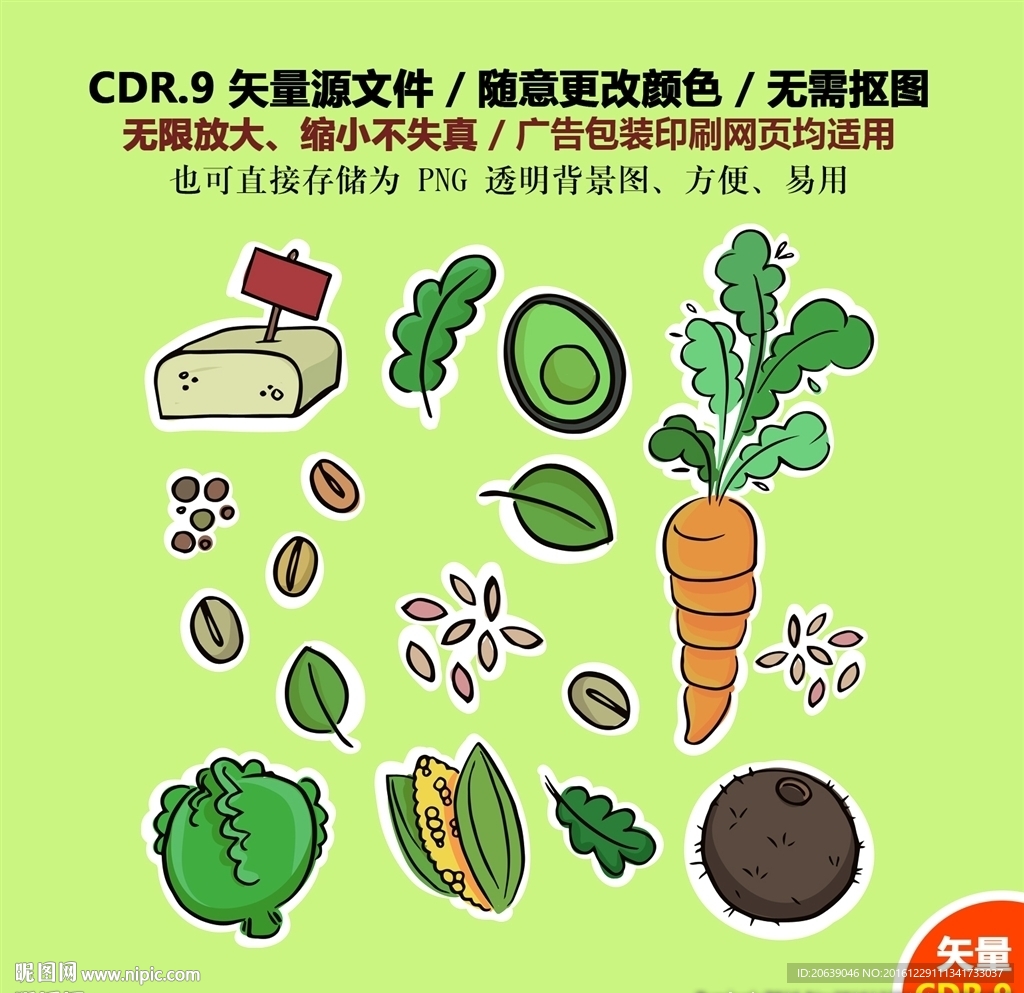 手绘植物蔬菜矢量图