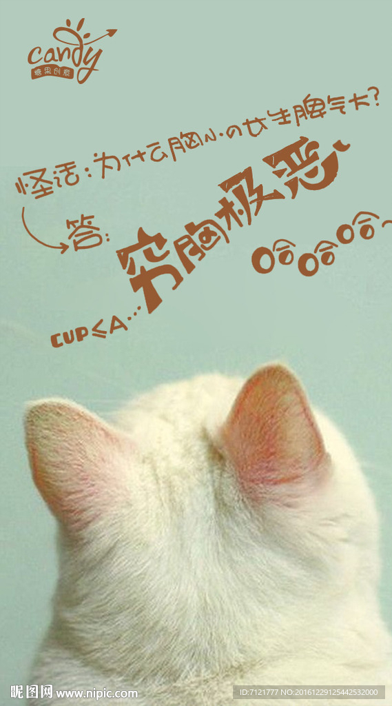猫