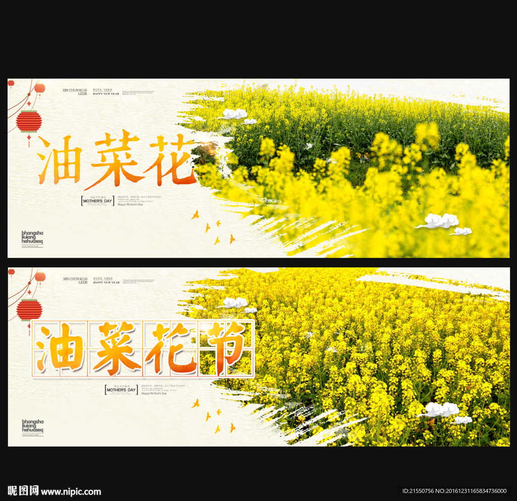 油菜花
