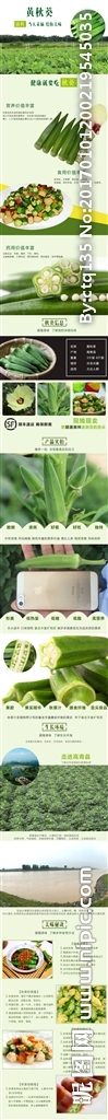 秋葵蔬菜淘宝网店详情页模板
