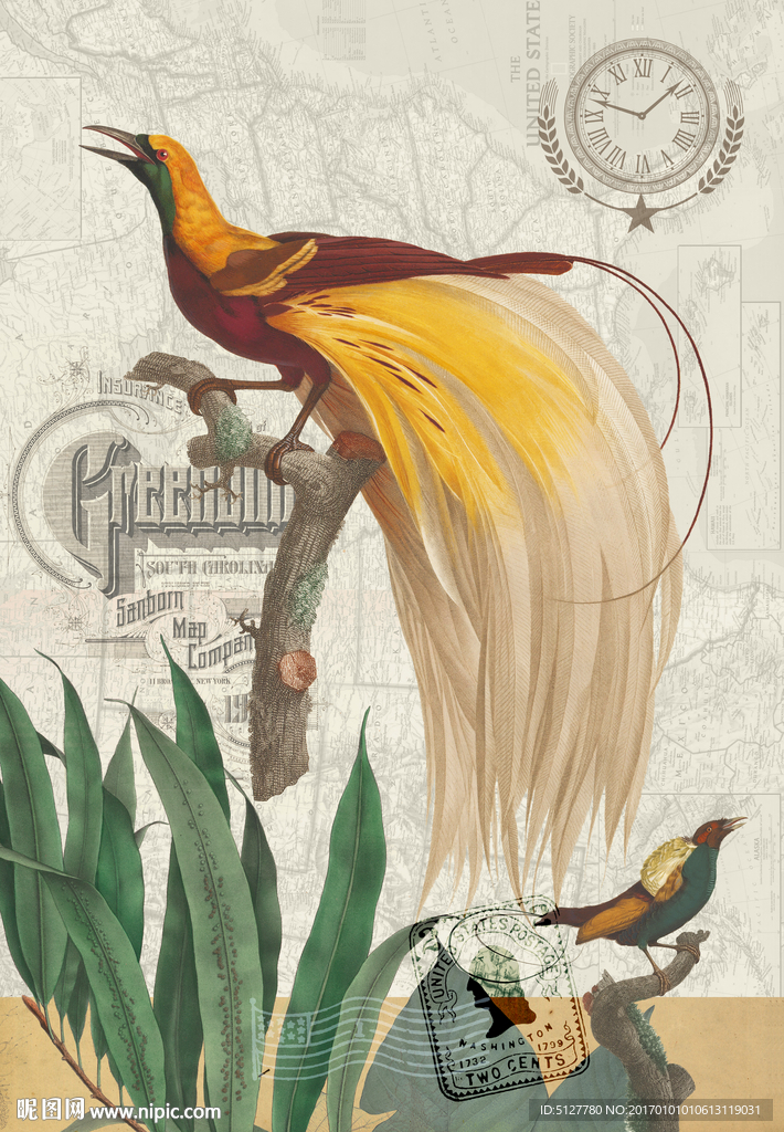 天堂鸟装饰画 凤凰设计图