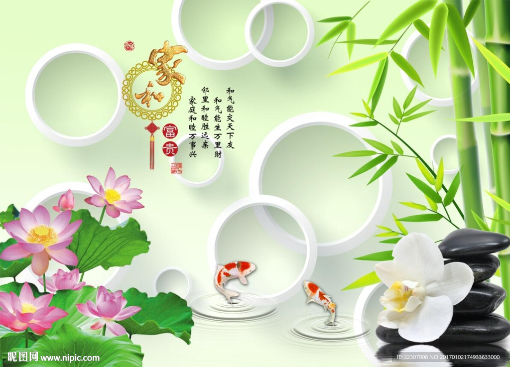 家和富贵竹子荷花