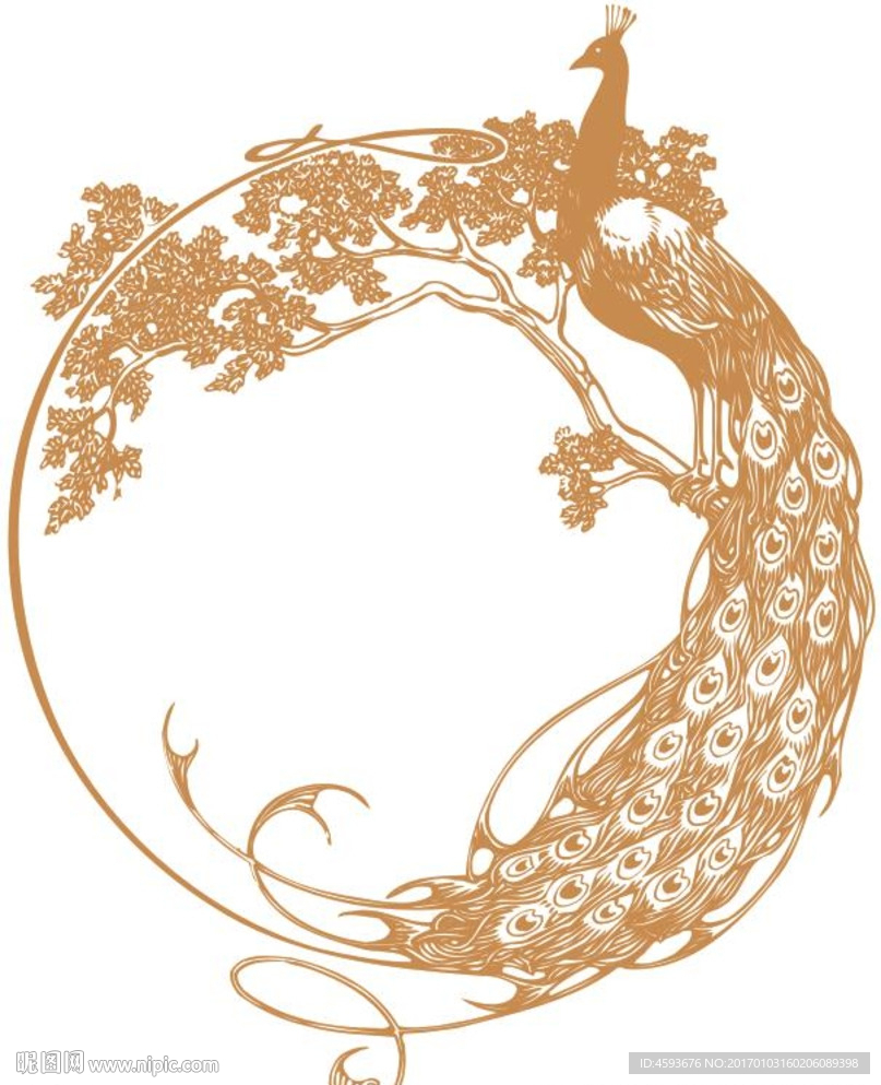 孔雀 硅藻泥刻图