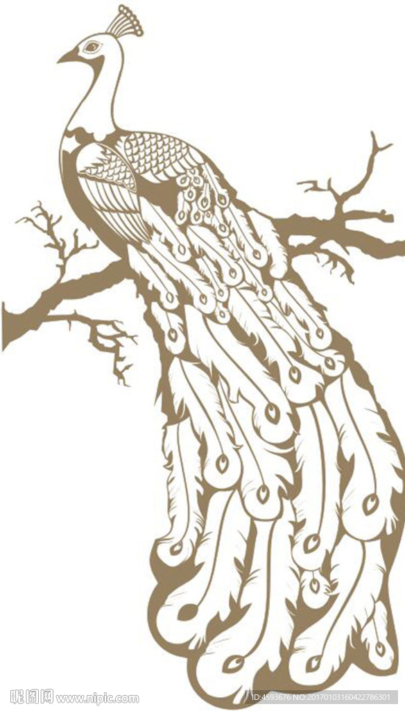 孔雀 硅藻泥刻图