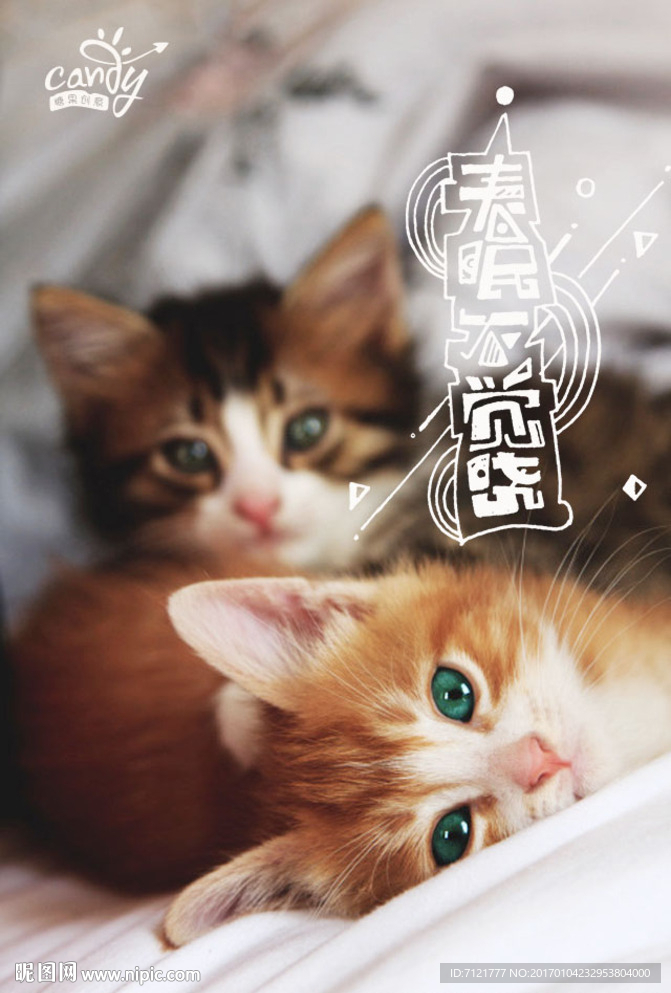 春眠不觉晓