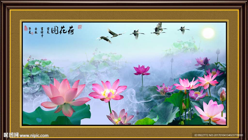 荷花