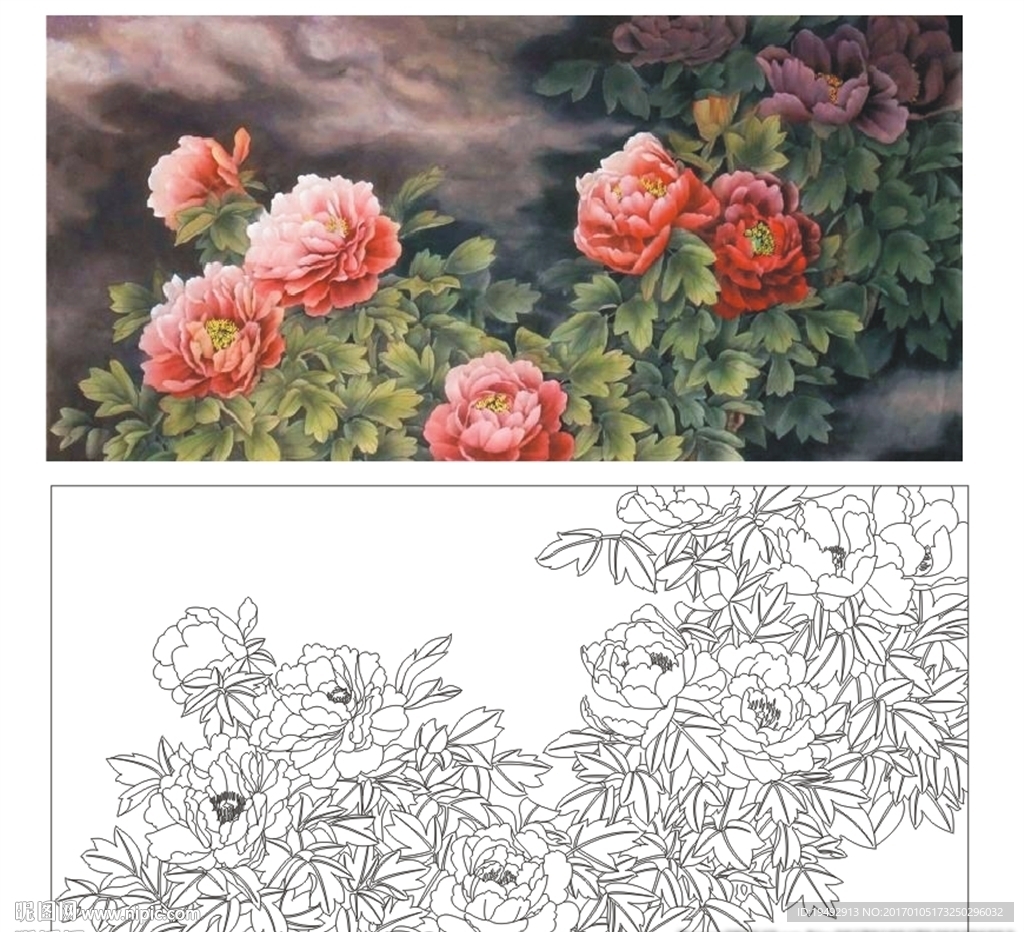 牡丹花 工笔画