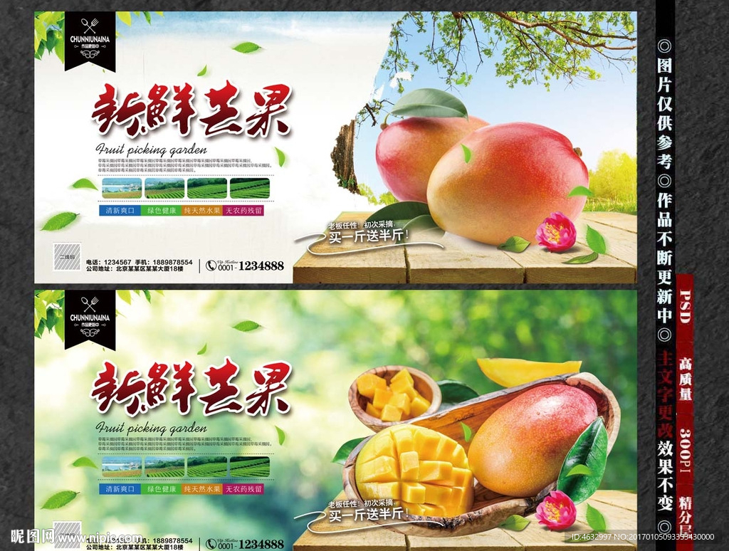 芒果