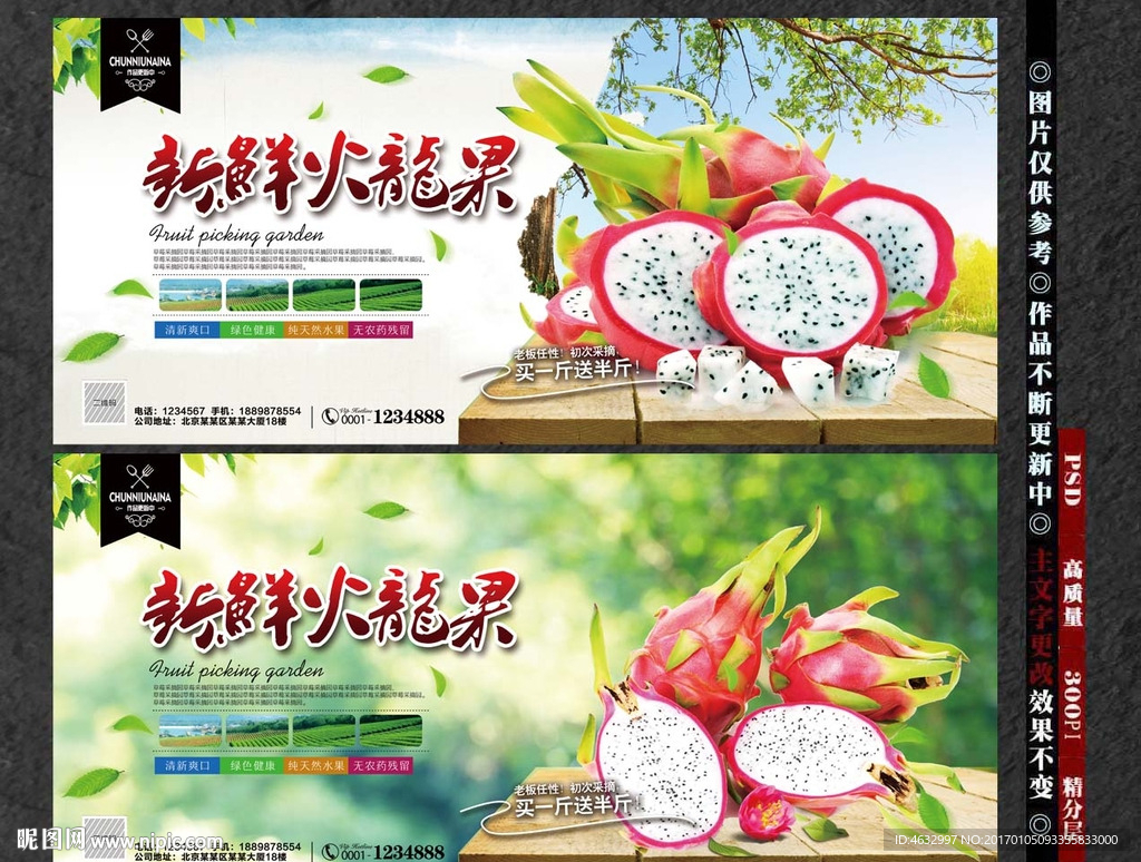 火龙果