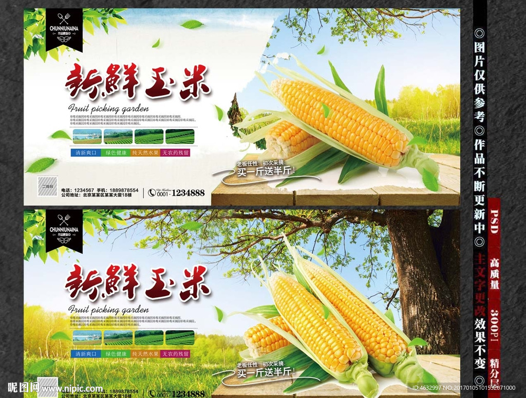 玉米