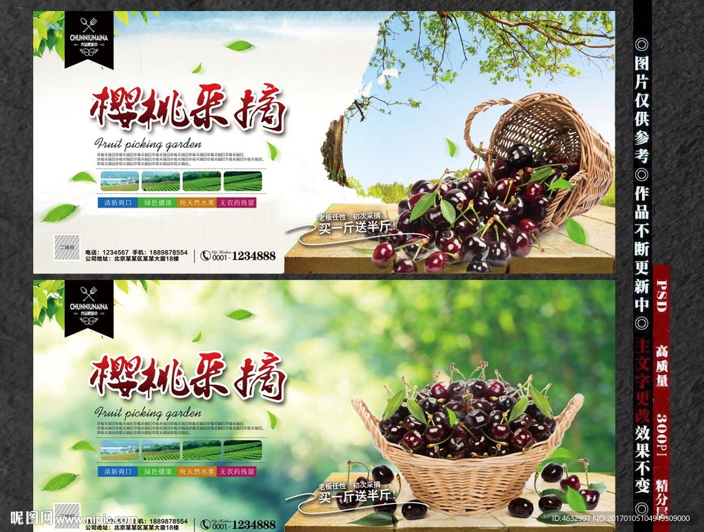 樱桃